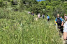 Юных саратовцев в походе учили основам ориентирования
